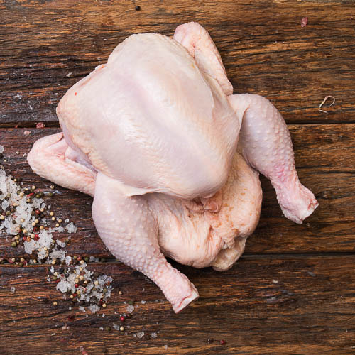 Pollo
