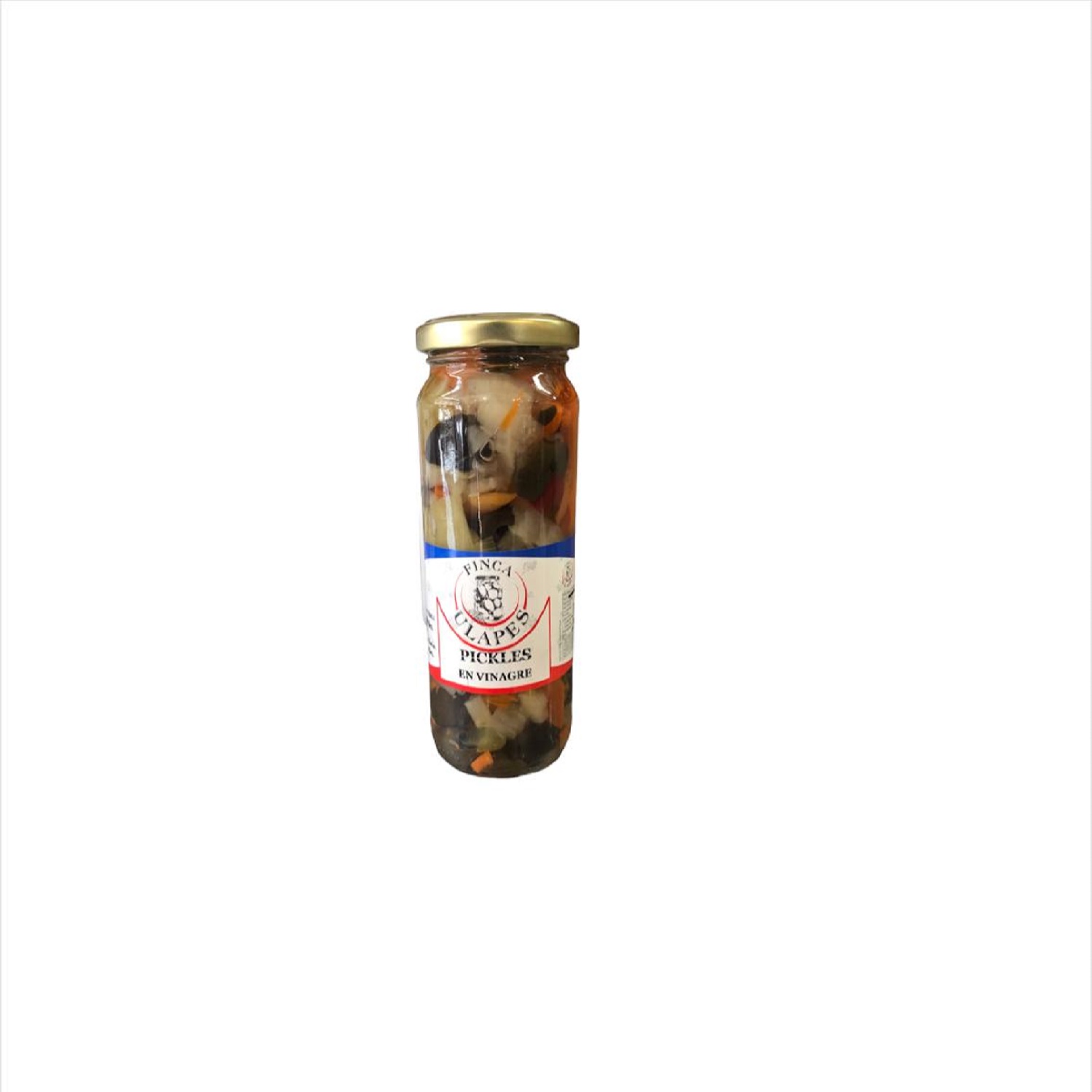 WhatsApp Image 2022-08-25 at 2.49.40 PM Pickles Mixtos ulapes - Imagen 1